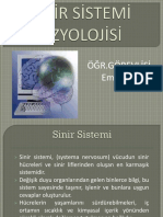 Sinir Sistemi Fizyolojisi PDF