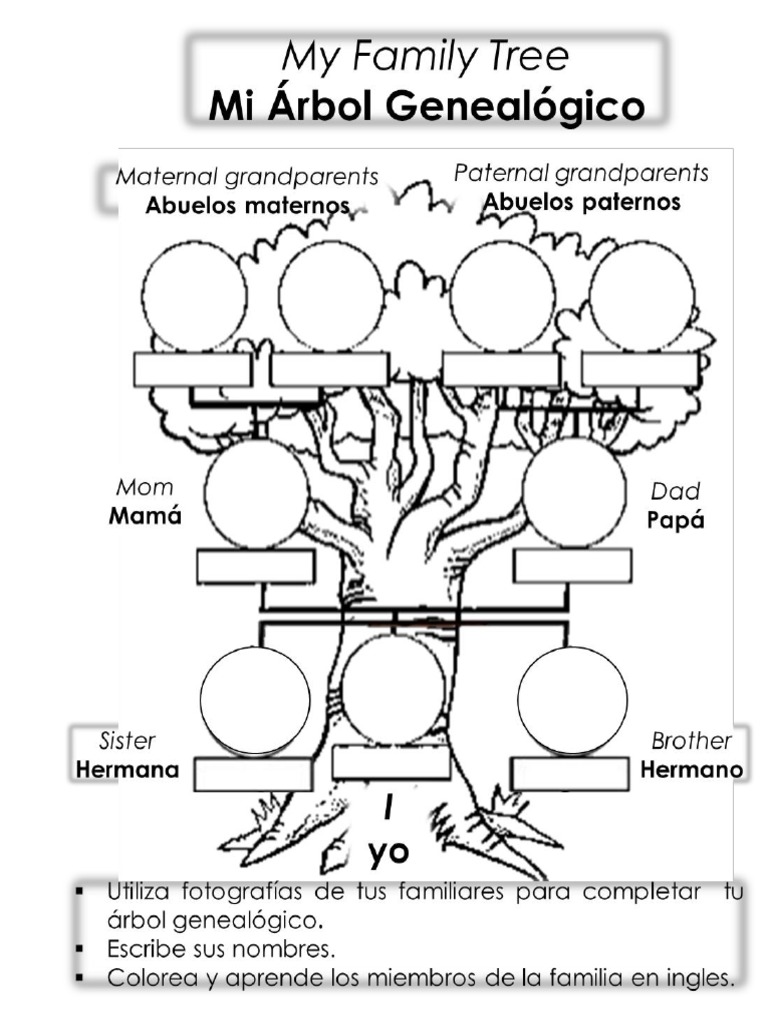 completa-el-rbol-geneal-gico-en-blanco-instructivo-arbol