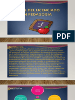 Perfil Pedagogo.pptx