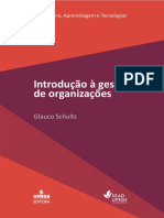 Introdução de Gestão as organizações.pdf