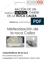 Formación de Un Suelo ULTISOL A Partir de La ROCA CALIZA - Procesos Pedogenéticos - Meteorización de La Roca Caliza