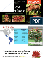 Achiote - Investigación Bibliográfica - Hernández 
