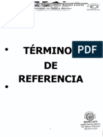 terminos de referencia