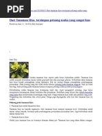 Download Anggrek n Tanaman Hias by Benigno Celestino de Deus SN40019370 doc pdf