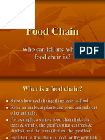 Food Chain: Who Can Tell Me What A Food Chain Is?