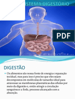 Sistema Digestório 