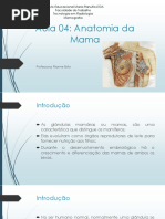 Radiologia - Mamografia 