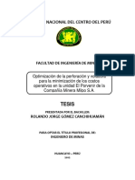 Tesisi Porvenir PDF