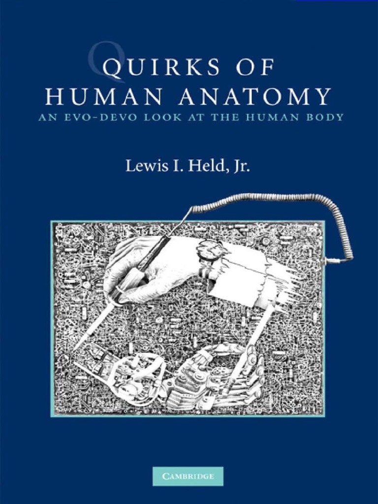 Lewis I Held Jr Quirks Of Human Anatomy An Ev Pdf Evolution Muscle