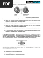 Citologia Organelas Celulares