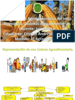 Cadena Agroalimentaria del Maíz.pptx