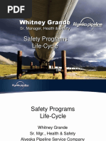 Safety Programs Life Cycle