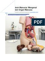 Anatomi Tubuh Manusia.docx