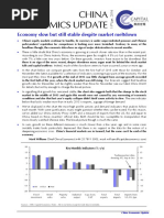 China Economics Update - Growth vs markets (Jan 16).pdf