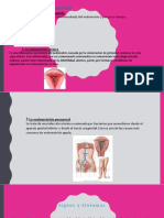 Tipos de Endometritis