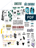 Ecologia - Cadeia Alimentar, Biomas e Relações Ecológicas.pdf