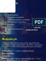 5-Reticuolocyte-Count.pptx