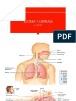 Sistem respirasi