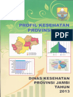 05 Profil Kes Prov - Jambi 2012 PDF