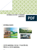 Externalización y economía ambiental.pptx