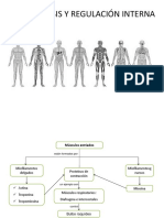 PSU - Homeostasis y Líquidos Corporales