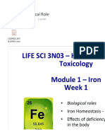 2 - Iron Biological Role