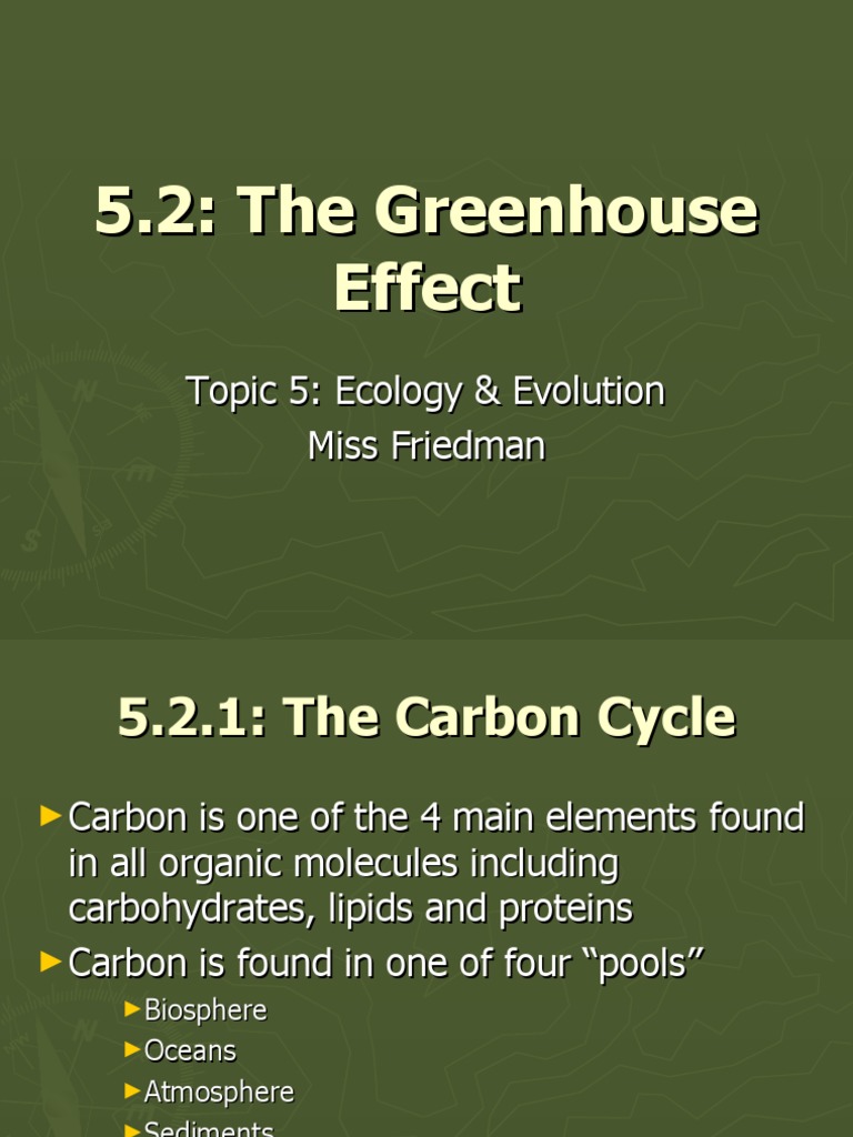 Understanding the Greenhouse Effect | PDF | Carbon Cycle | Carbon Dioxide