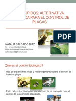 Control Biologico Diaphorina Natalia Salgado Diaz