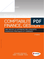 Pratique de La Comptabilité, Finance, Gestion PDF
