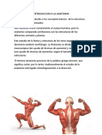 Anatomia y Fisiologia Docx de La Sangre