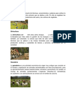 Agricultura sector primario.docx
