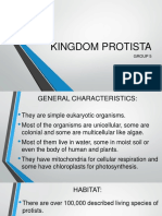 Kingdom Protista