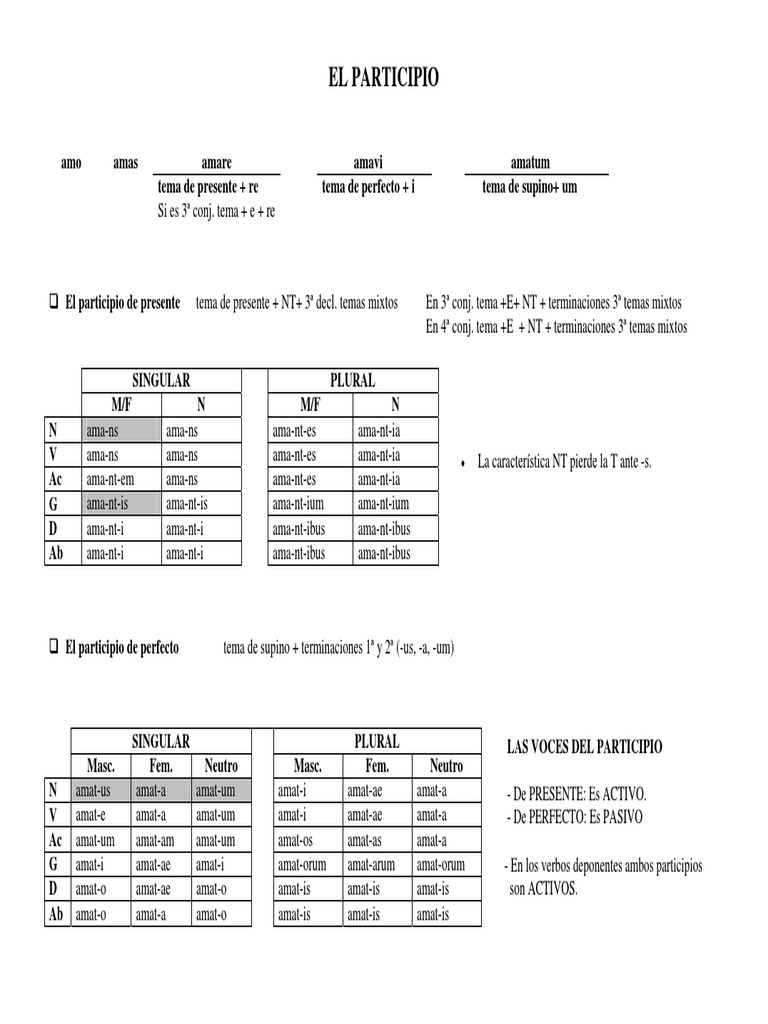 A.D. El Particípio Latino PDF Verbo Género gramatical