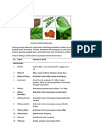 Kelompok 1 Morfologi Tumbuhan