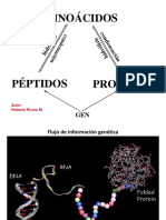 Aminoácidos Péptidos Proteínas PDF
