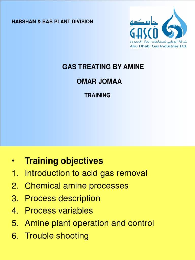 Gas Treating by Amine | PDF | Natural Gas Processing | Natural Gas