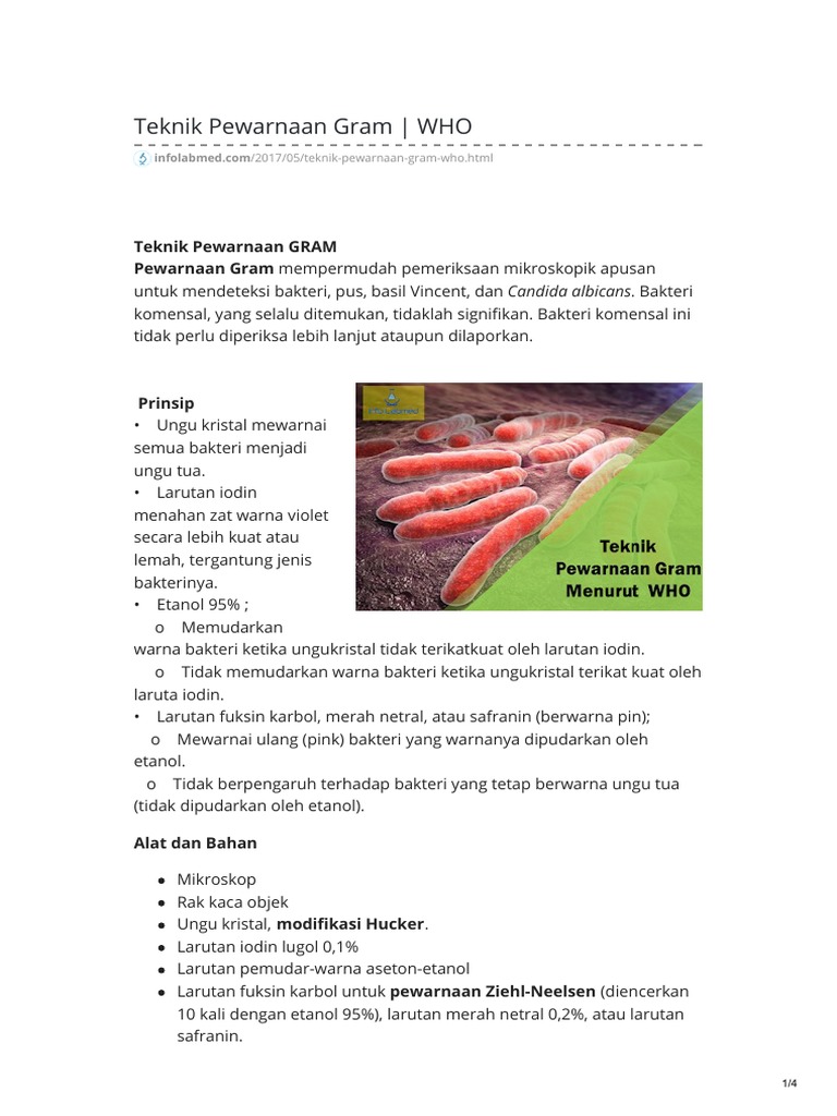Infolabmed Com Teknik Pewarnaan Gram Who