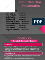 Polindes, Poskesdes Fix