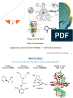 "Drugs and The Brain" Week 1 Minilecture 1 Organization and Overview of Weeks 1 - 3 (The Basic Science)