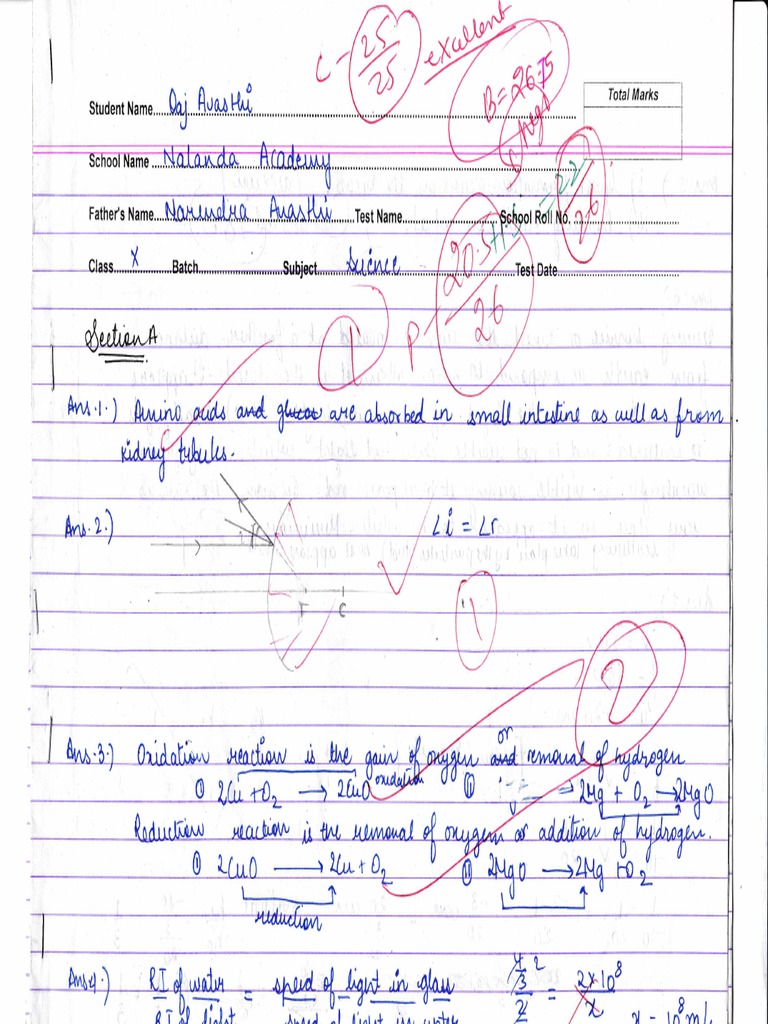 Class 10 Science Notes Overview | PDF