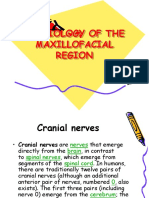 01 Physiology of Maxillofacial Region