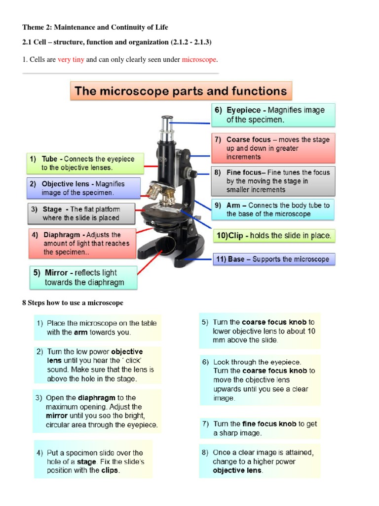 Understanding Cell Structure and Microscopy | PDF