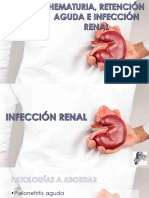 Infección Renal
