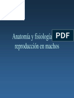 fisiologia del macho.pdf