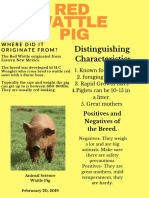 red wattle pig - poster example name edit