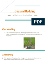 Grafting and Budding - Student Example 1