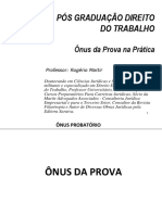 Onus Da Prova