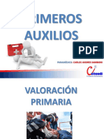 Valoracion Primaria