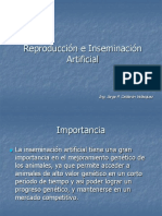 Inseminacion Artificial ZGral.ppt