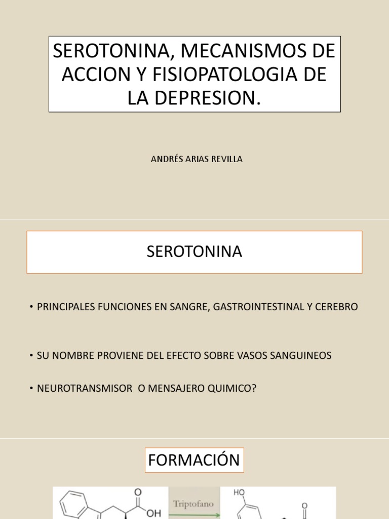 Serotonina y Depresión: Mecanismos Clave | PDF | Serotonina | Depresión